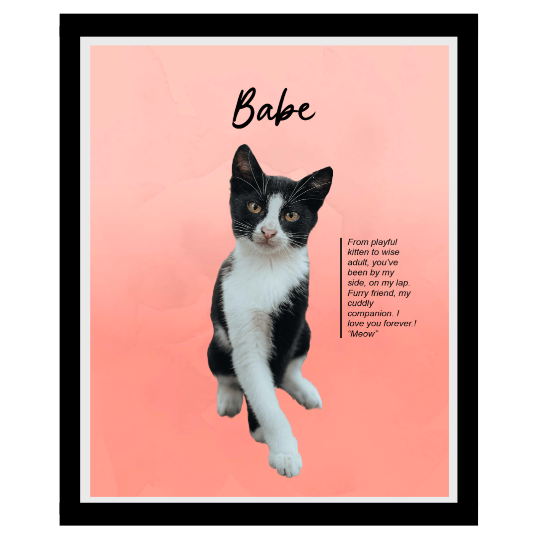 babe (9).png