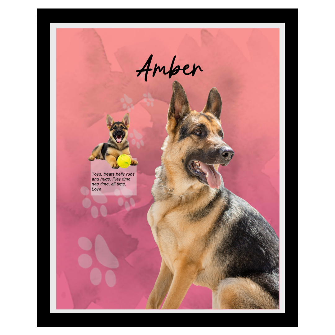 amber (7).png
