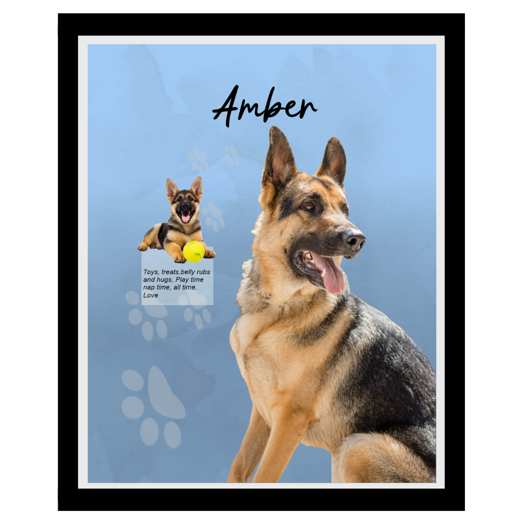 amber.png