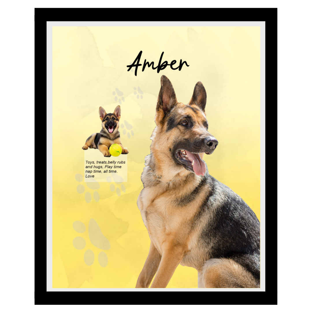 amber (10).png