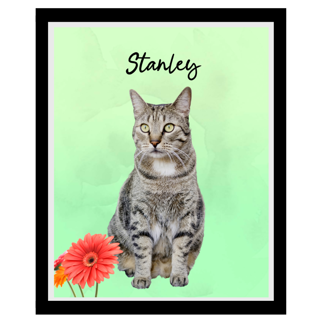 stanley (4).png