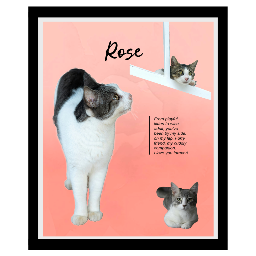 rose (5).png