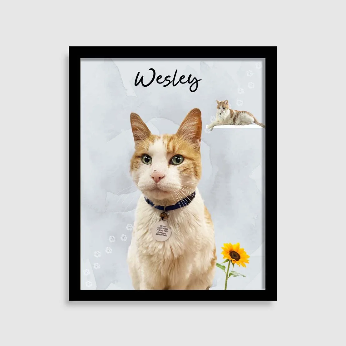 Westley ice blue 2.jpg (Copy)