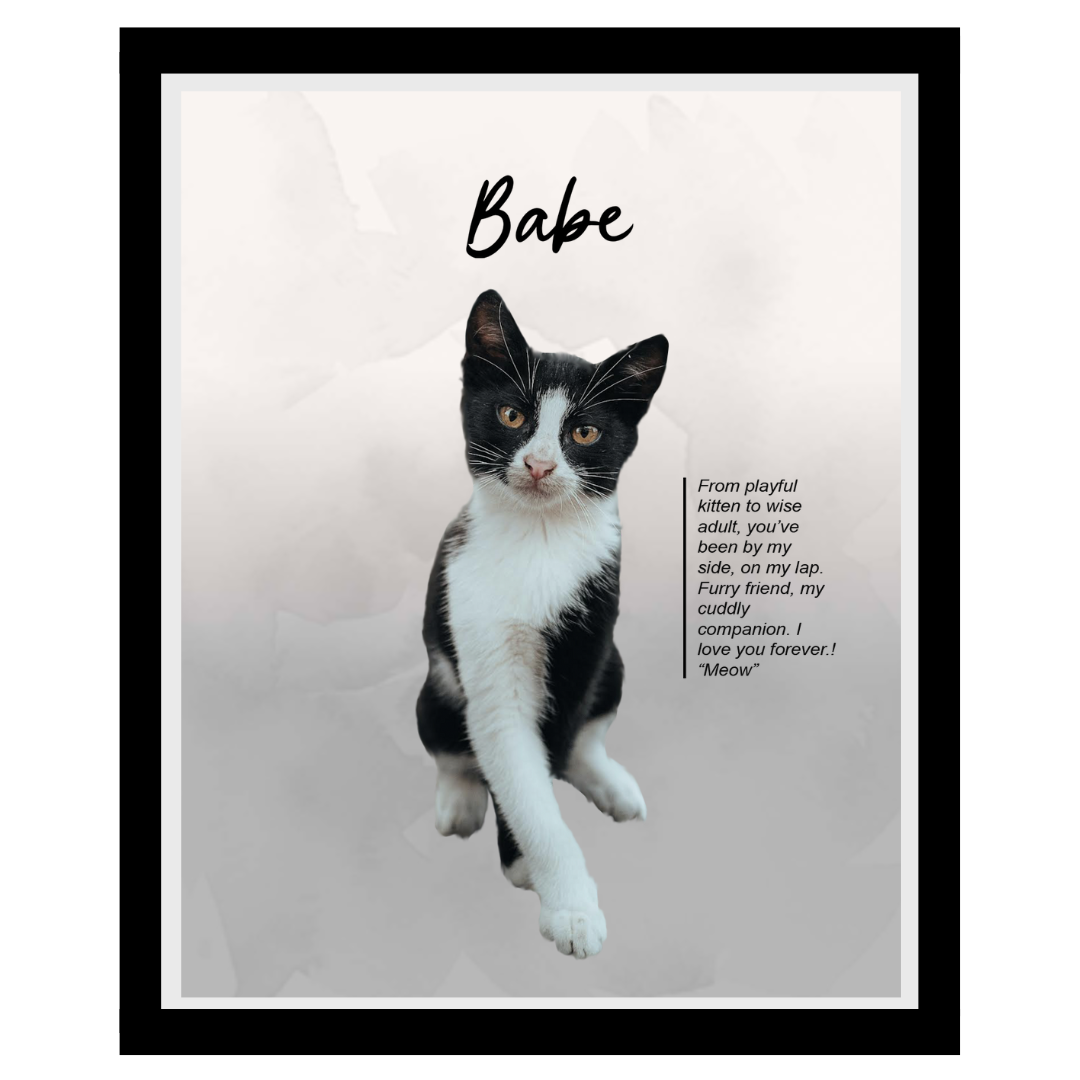 babe (8).png