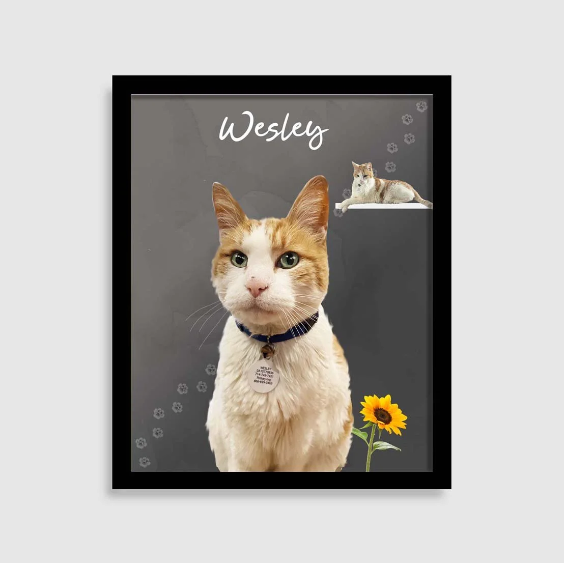 Westley blk 2.jpg (Copy)