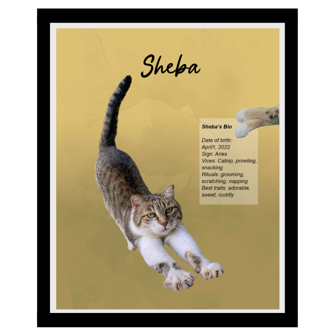 sheba (4).png