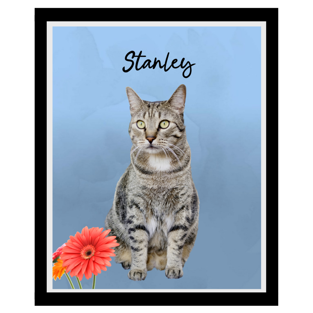 stanley (2).png