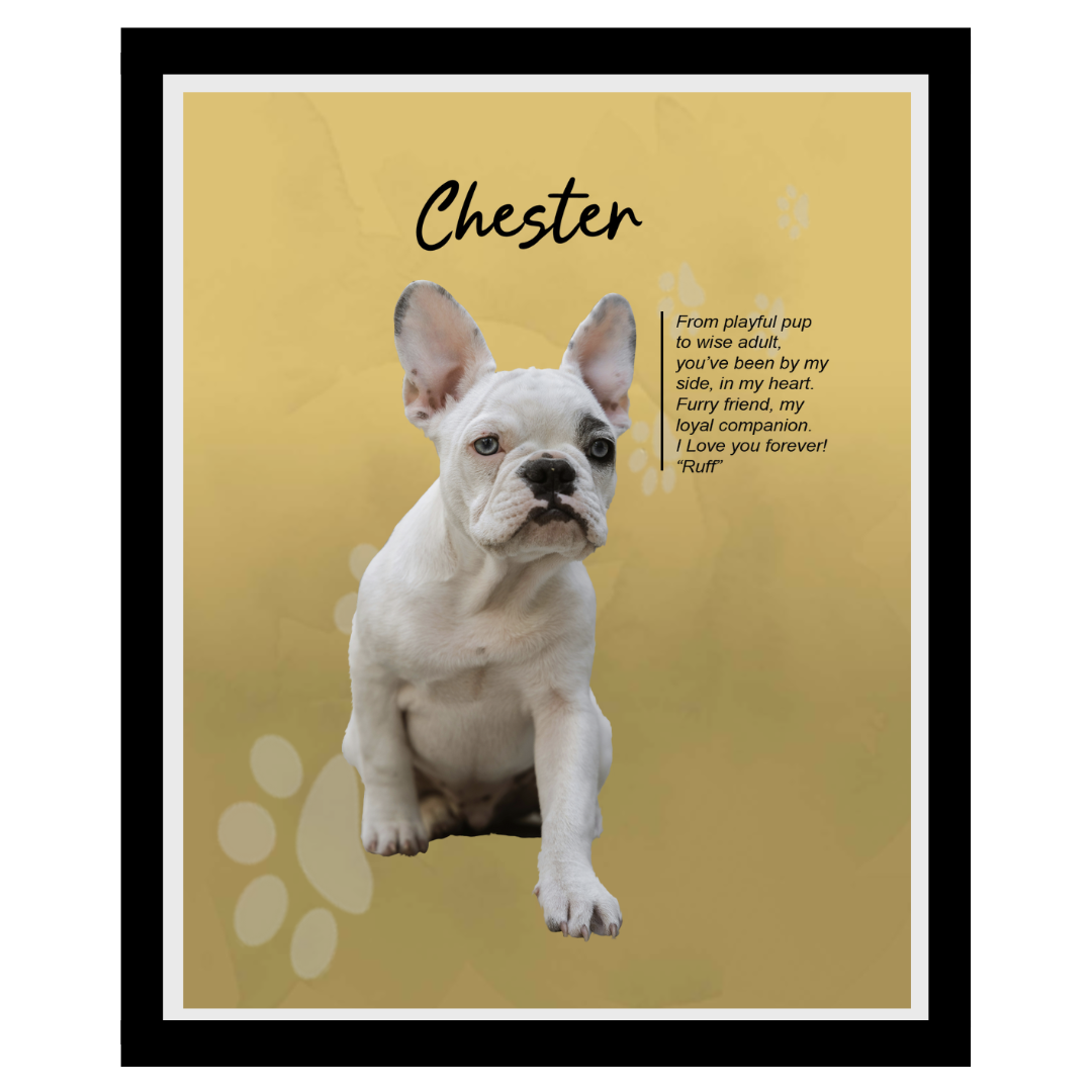 chester (9).png