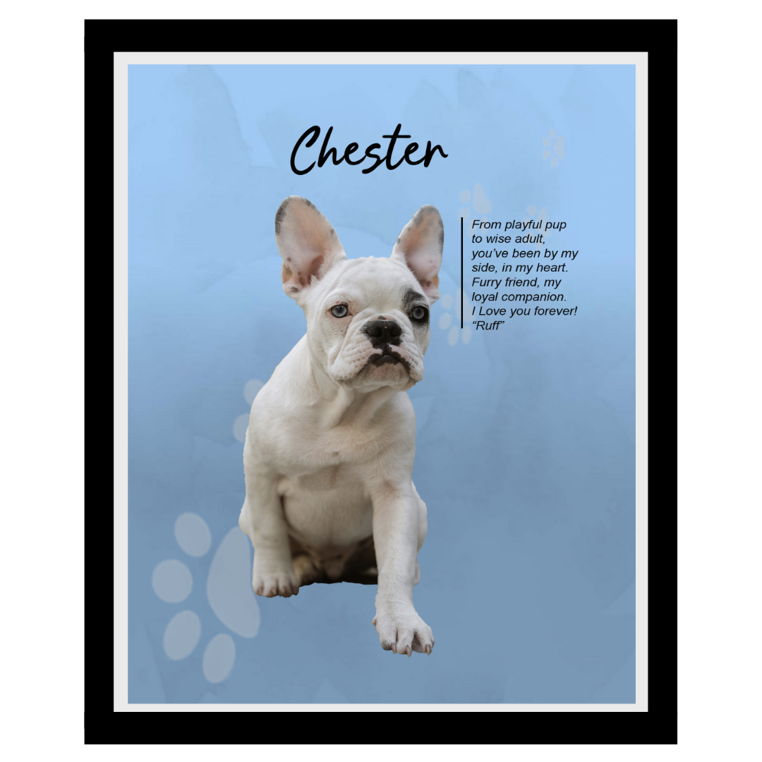 chester (12).png