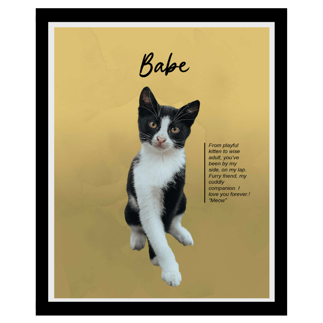babe (10).png