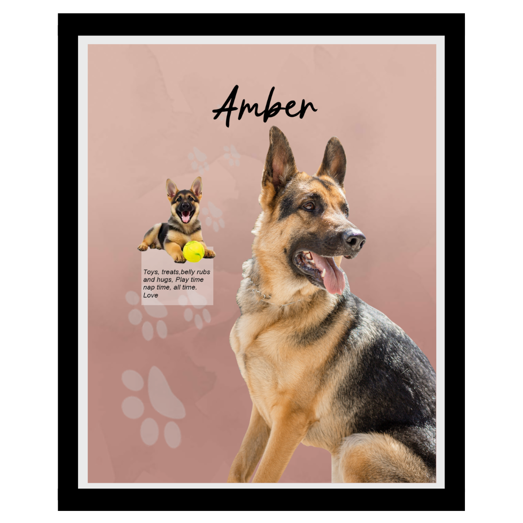 amber (11).png