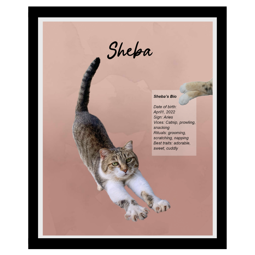 sheba (11).png
