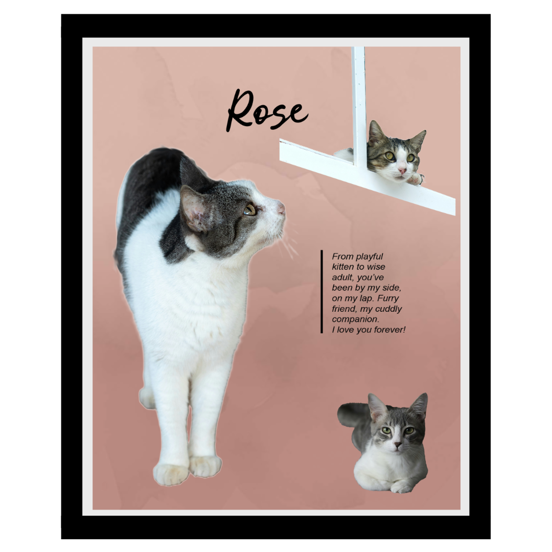 rose (11).png