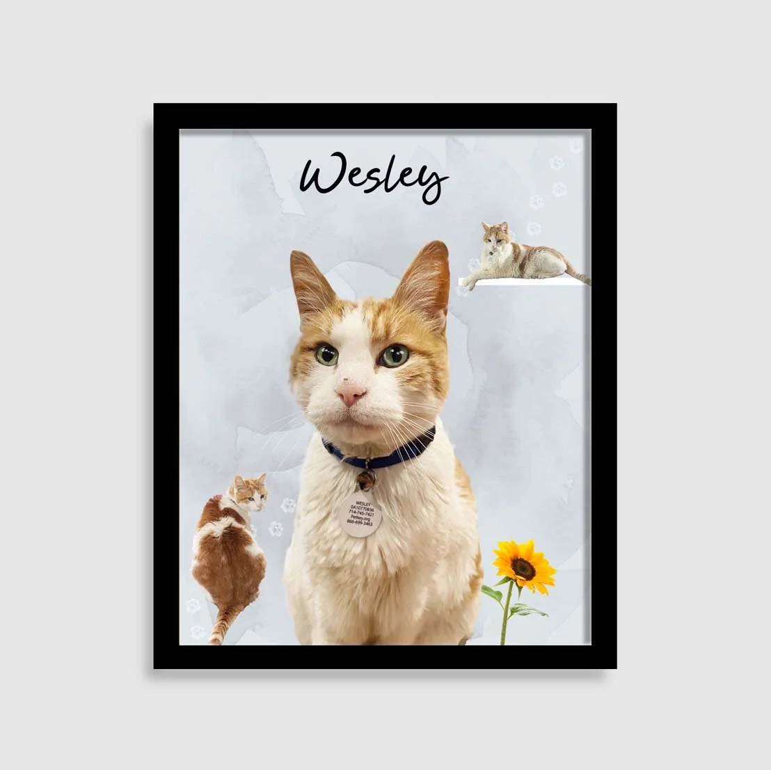 Westley ice blue 3.jpg (Copy)