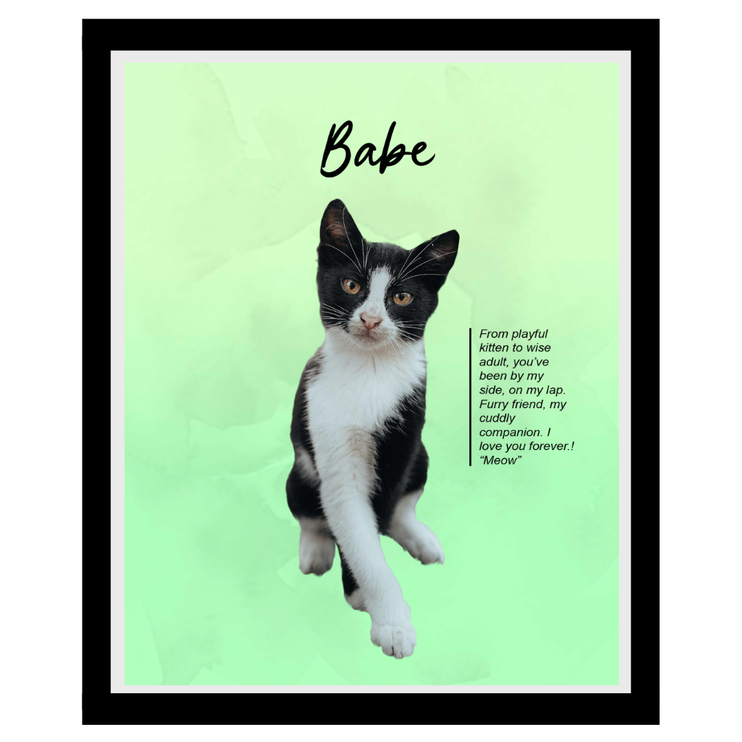 babe (11).png