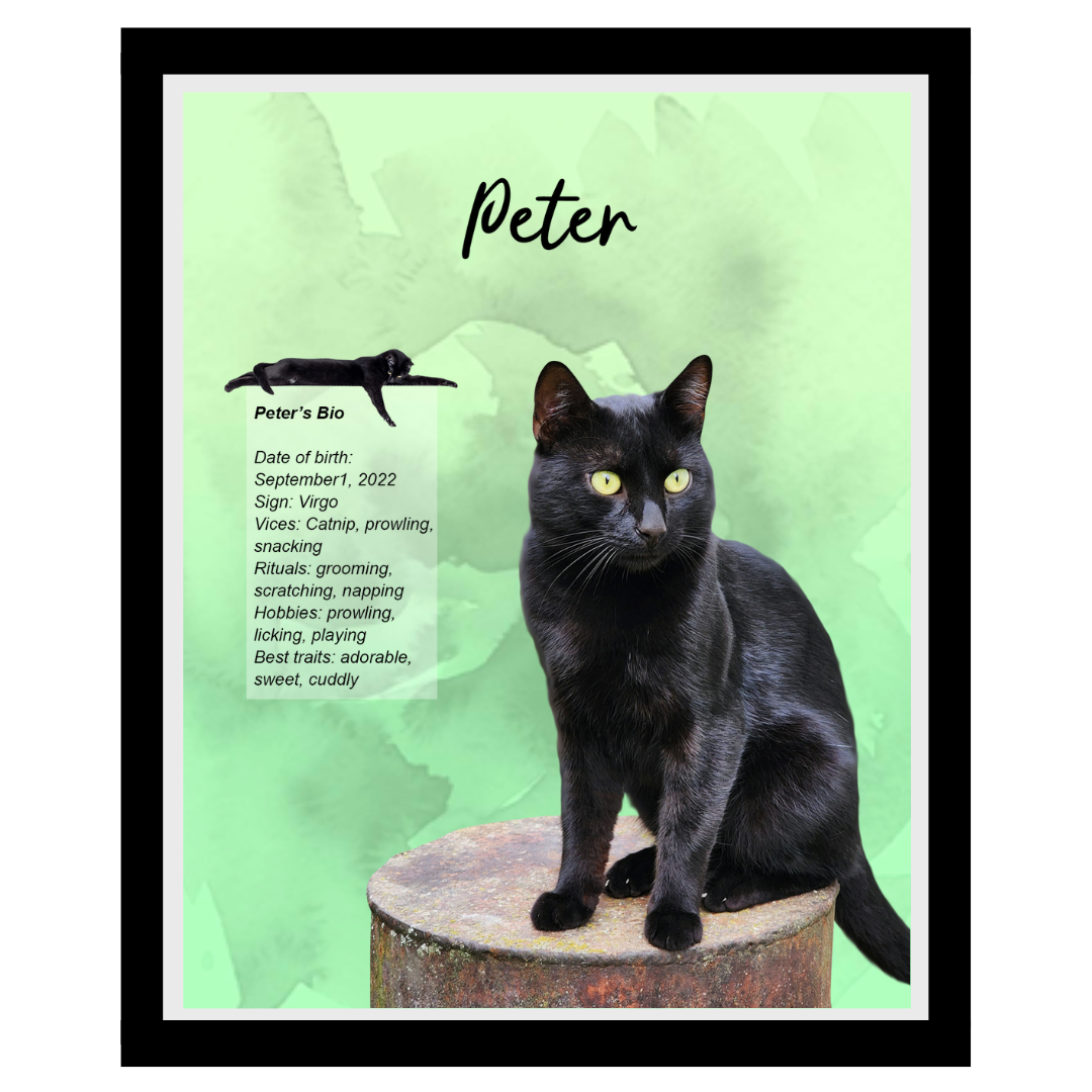 peter (10).png