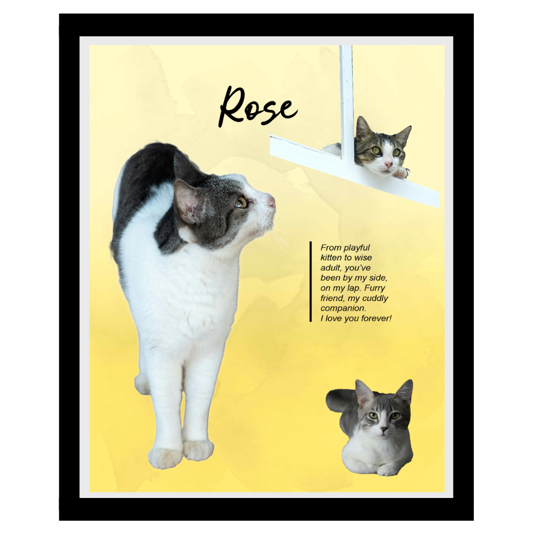 rose (10).png