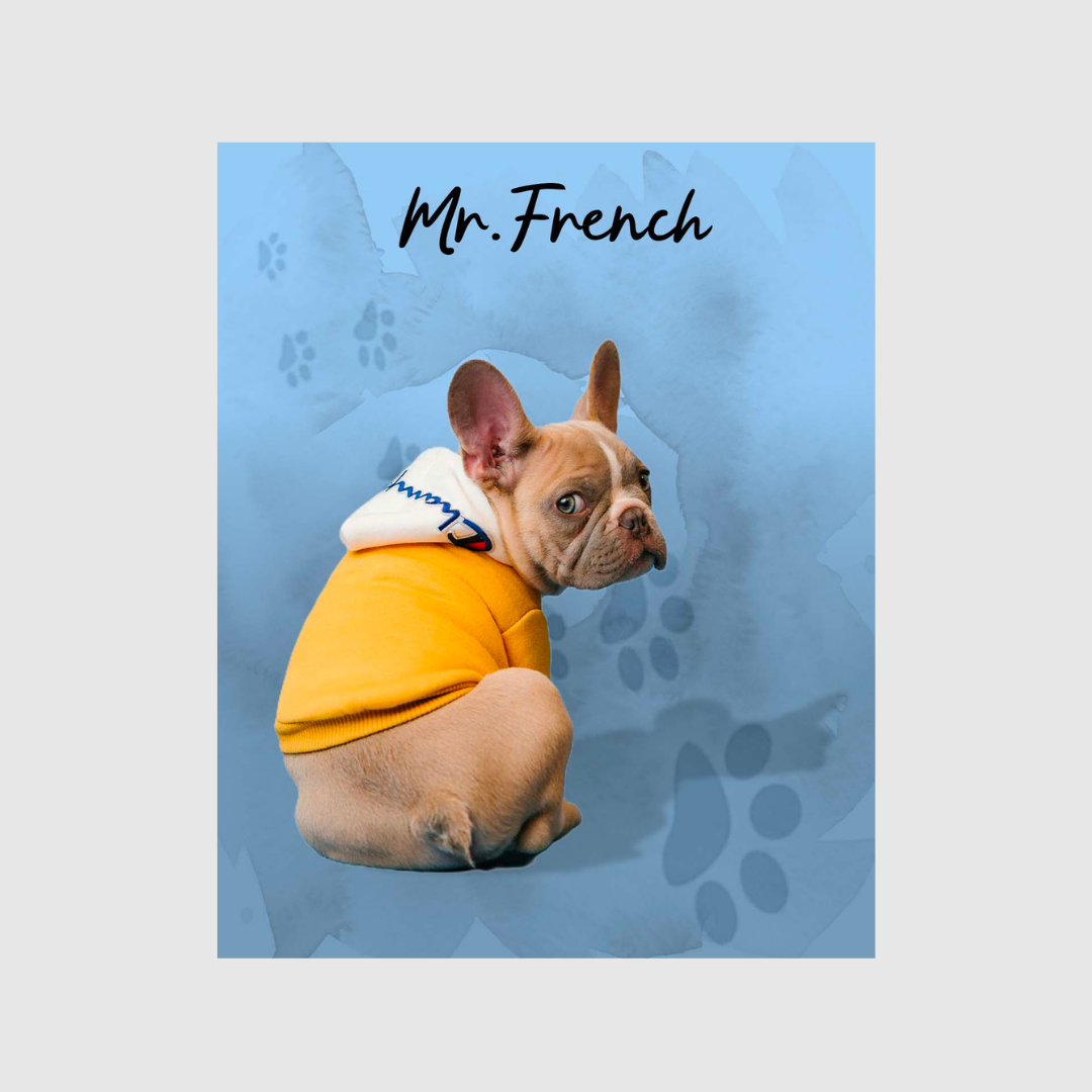 Playful Portrait  Digital Download