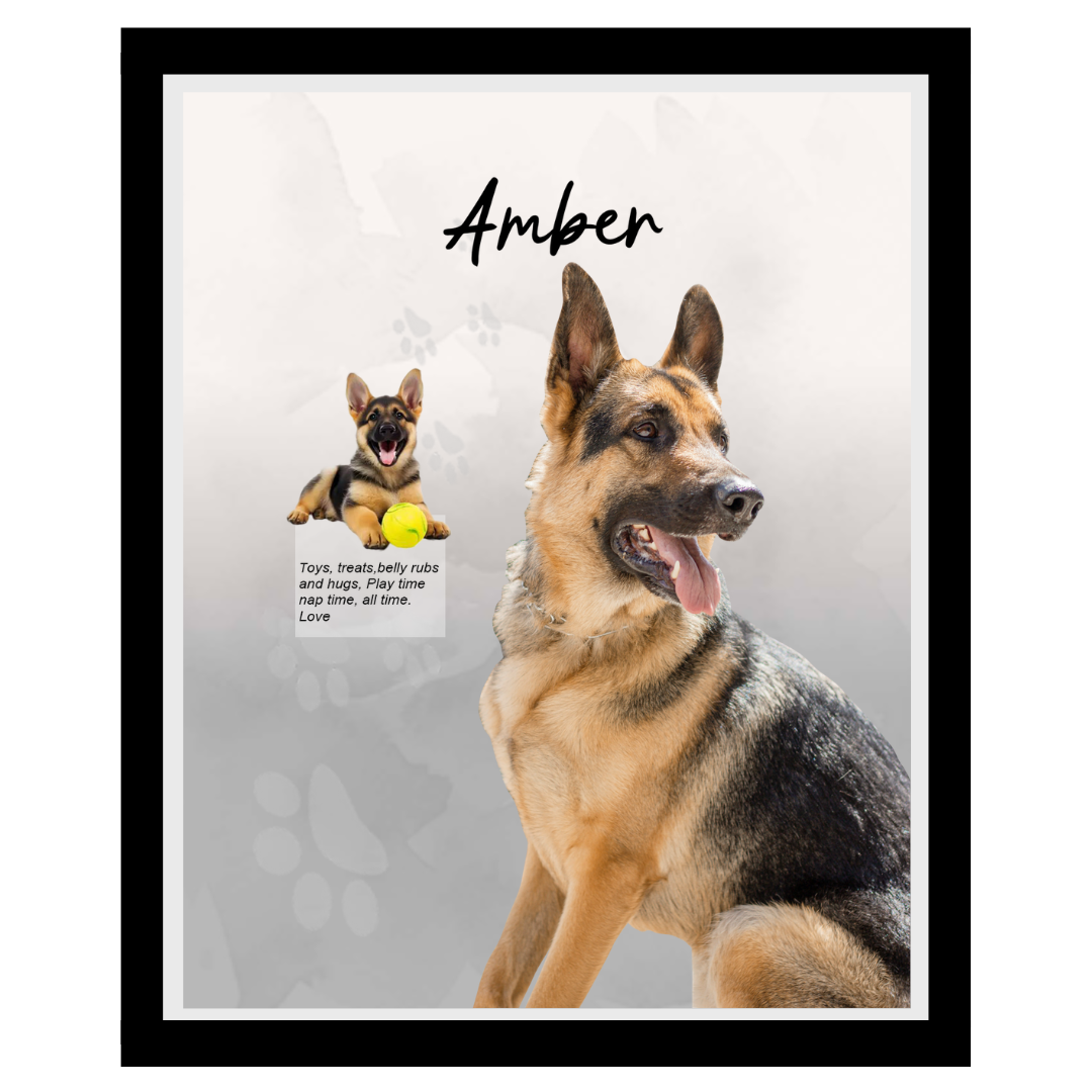amber (6).png