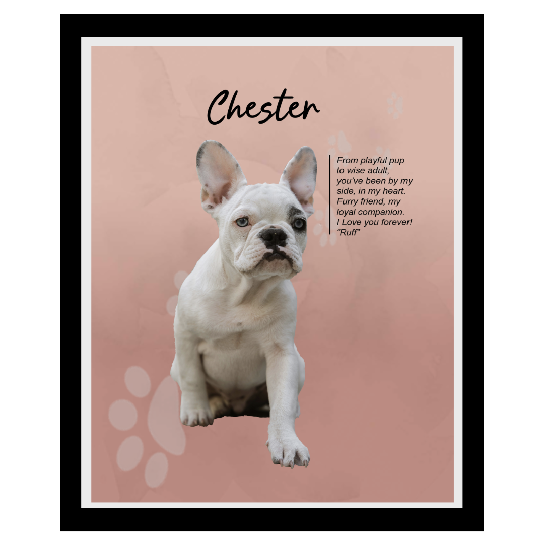 chester (2).png
