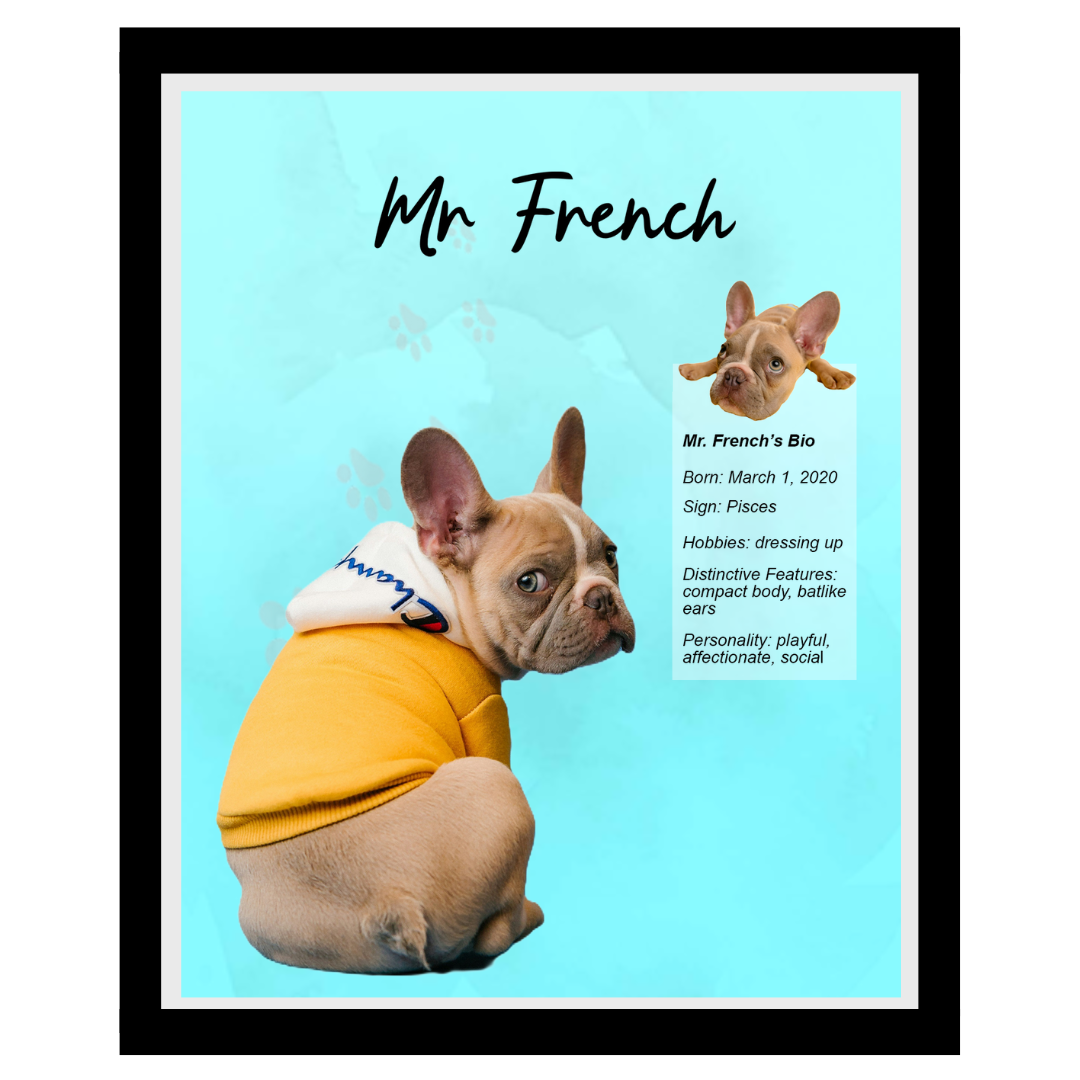 mr french (9).png