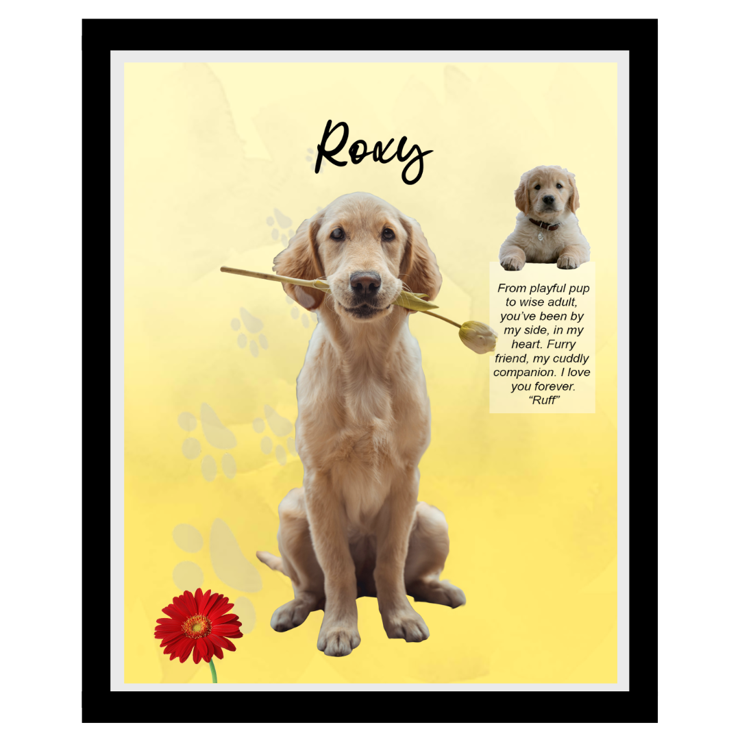 roxy (10).png