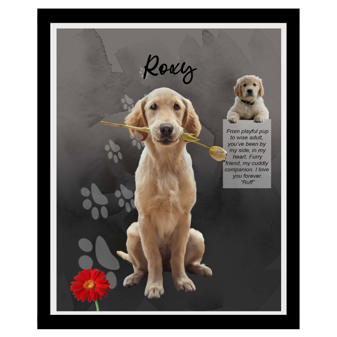 roxy (13).png