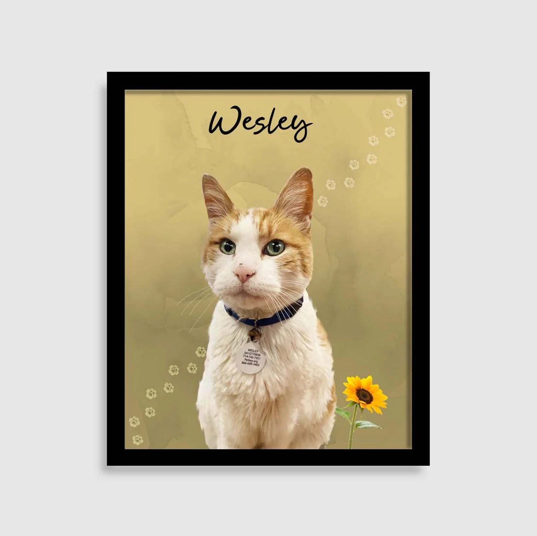 Westley gold 1.jpg (Copy)