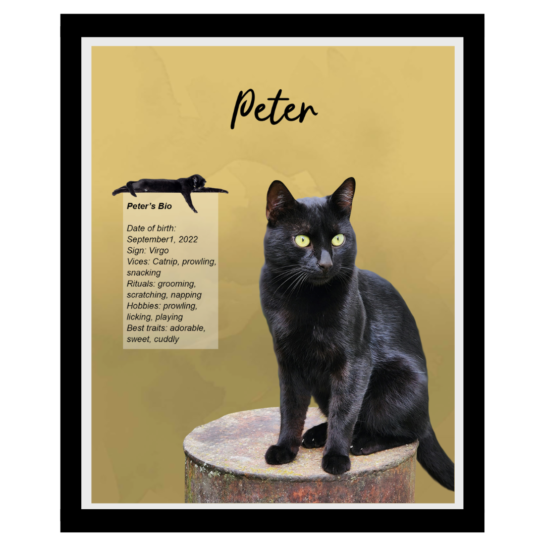 peter (5).png