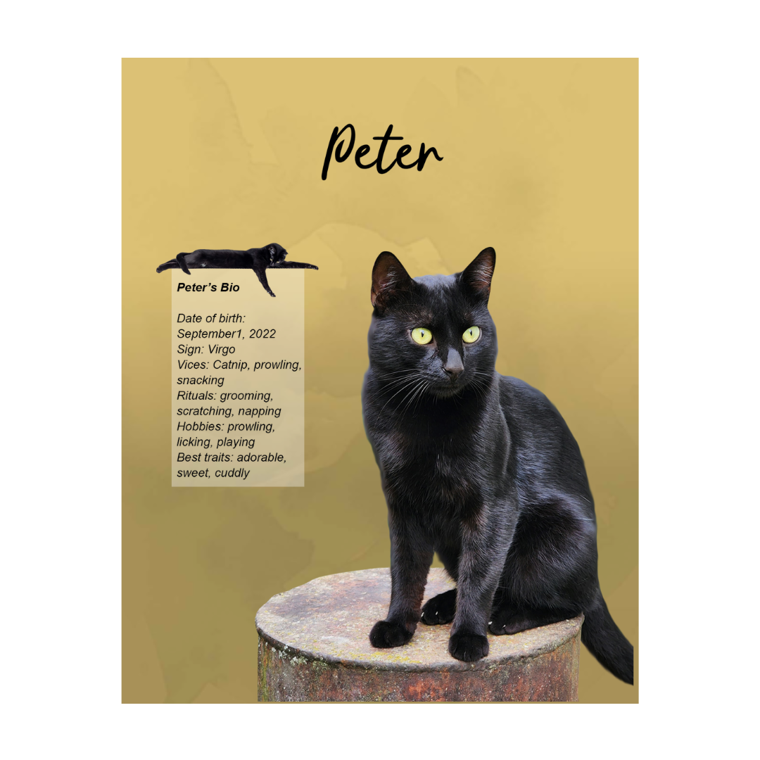 peter (2).png