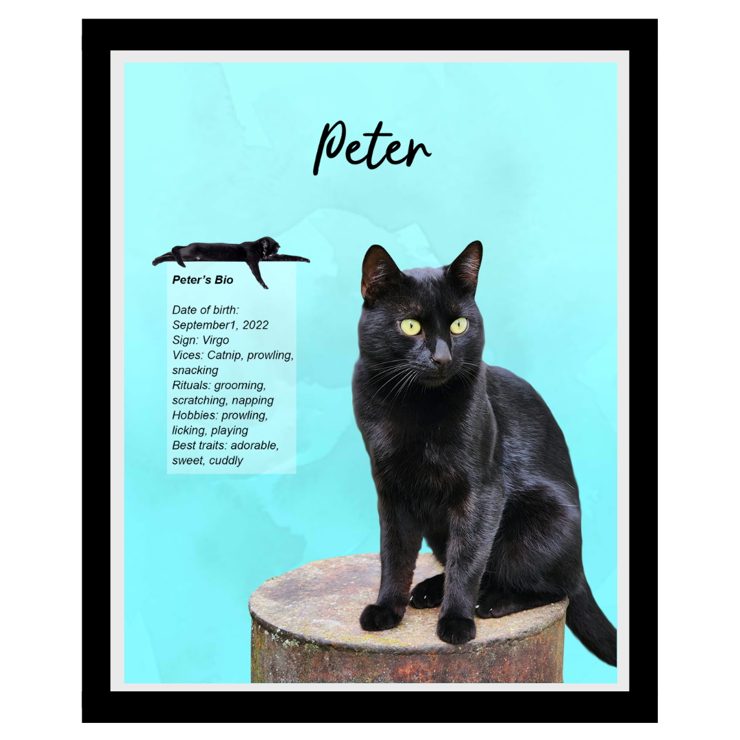 peter (9).png