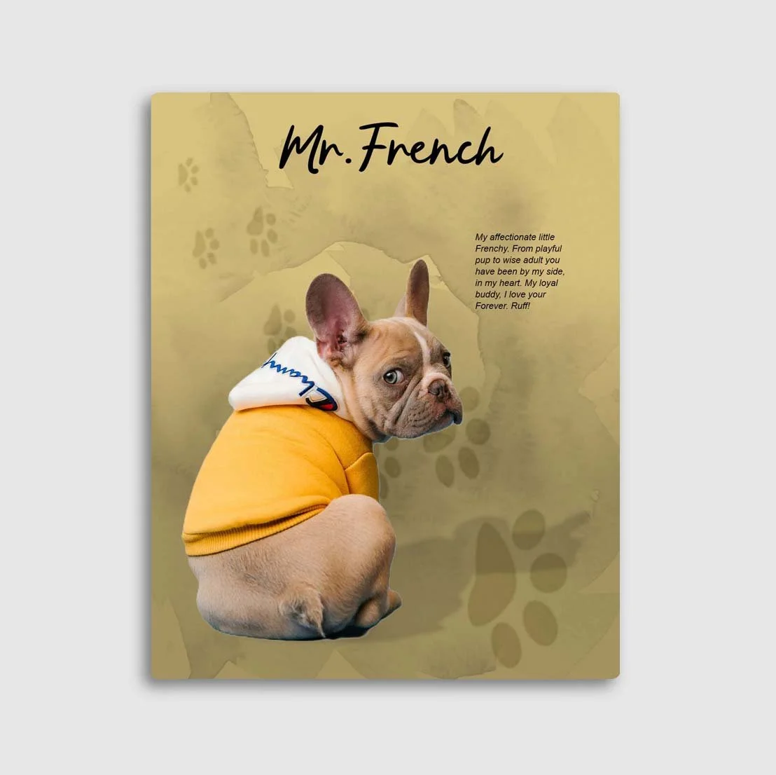 Mr french 1 gold w type.jpg