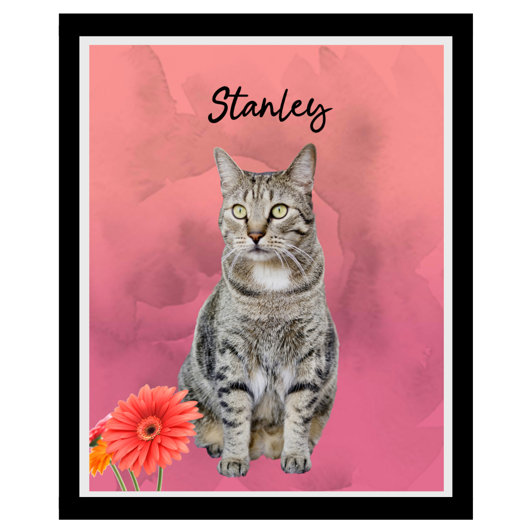 stanley (8).png