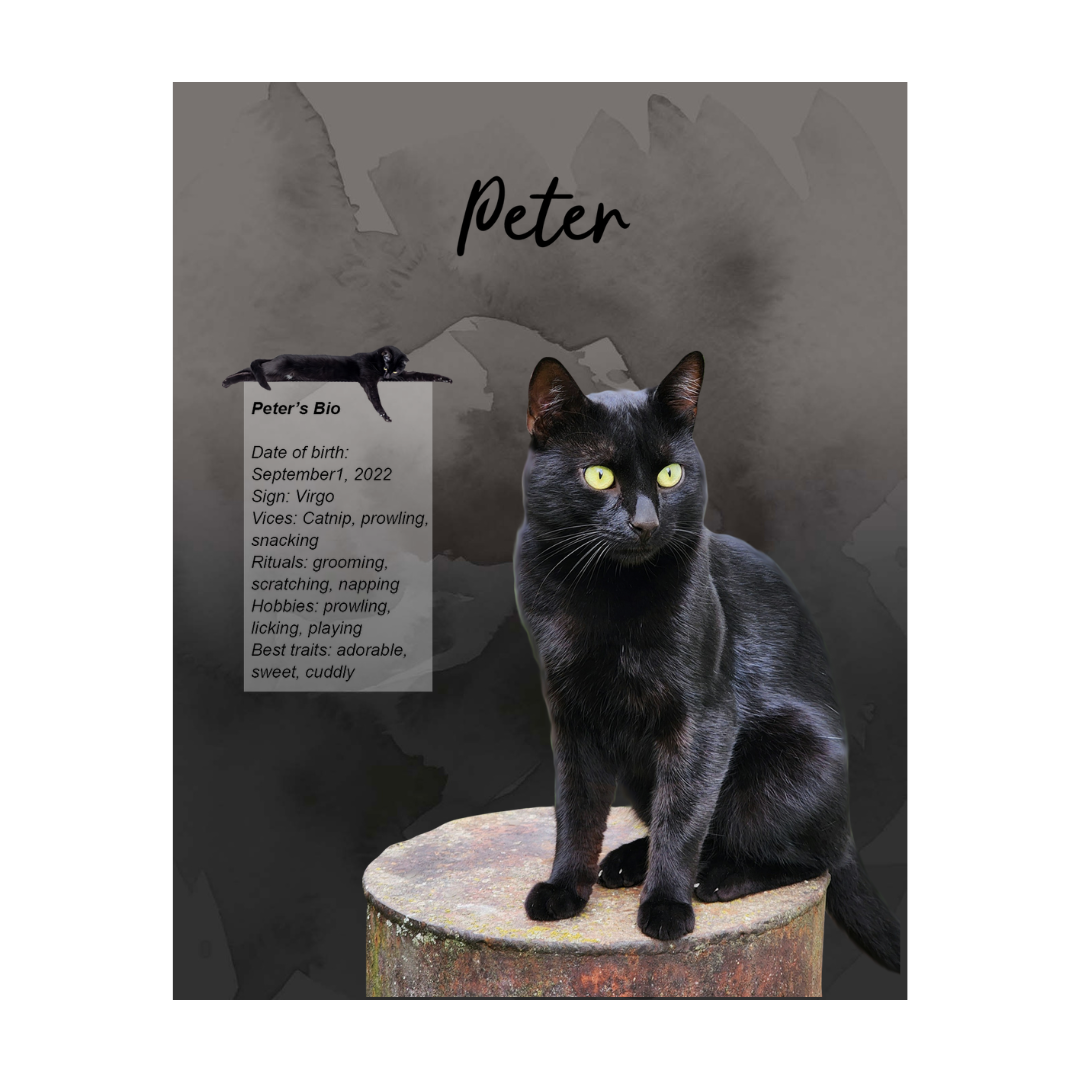 peter (5).png