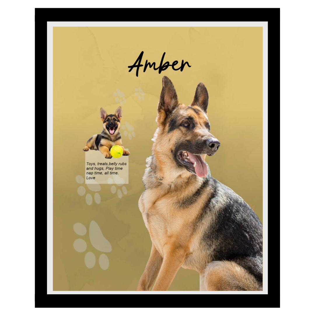 amber (4).png
