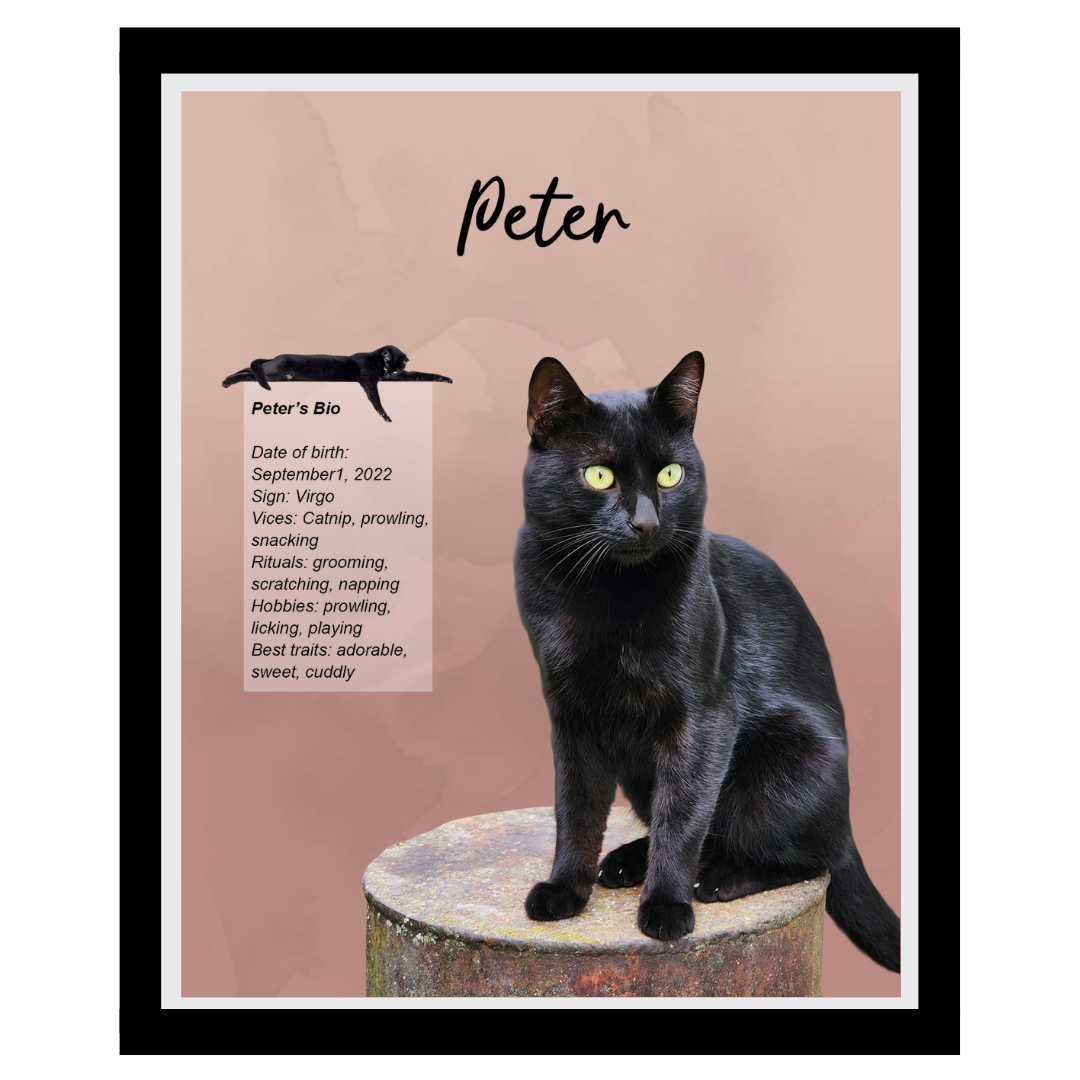 peter (12).png