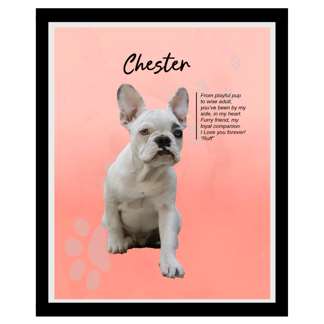 chester (8).png