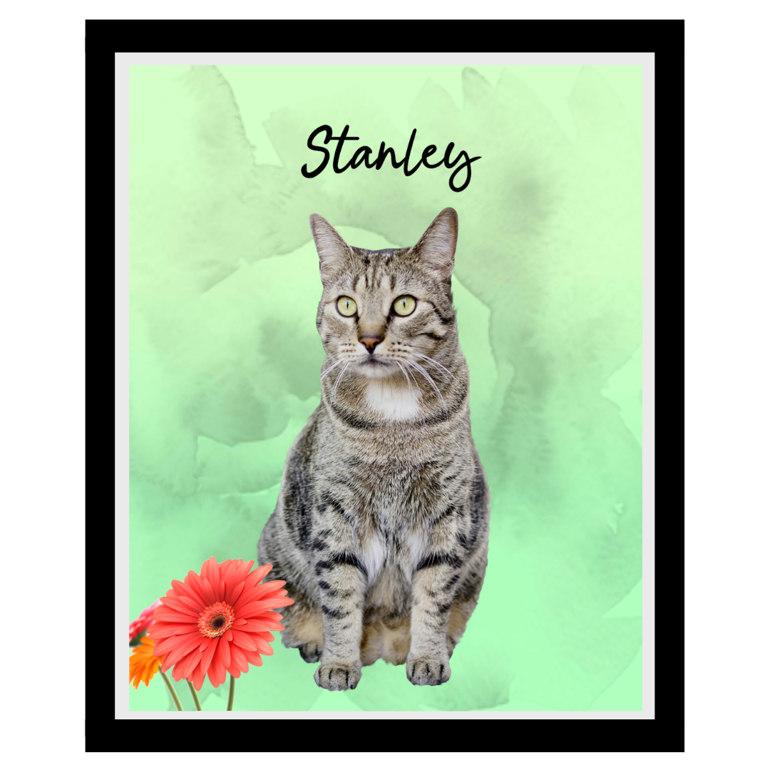 stanley (10).png