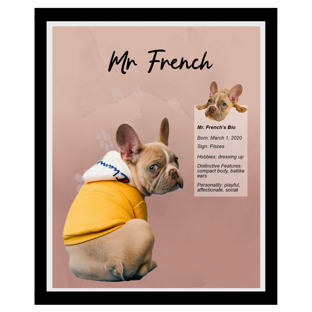mr french (12).png