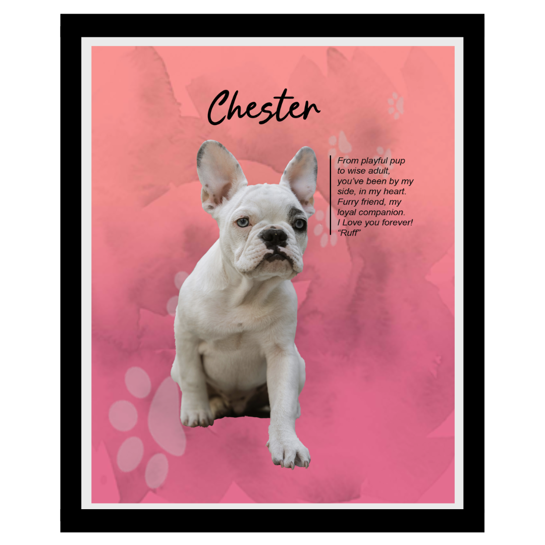 chester (6).png