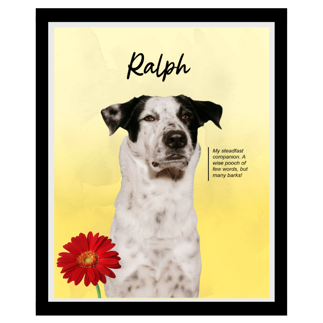 ralph (4).png