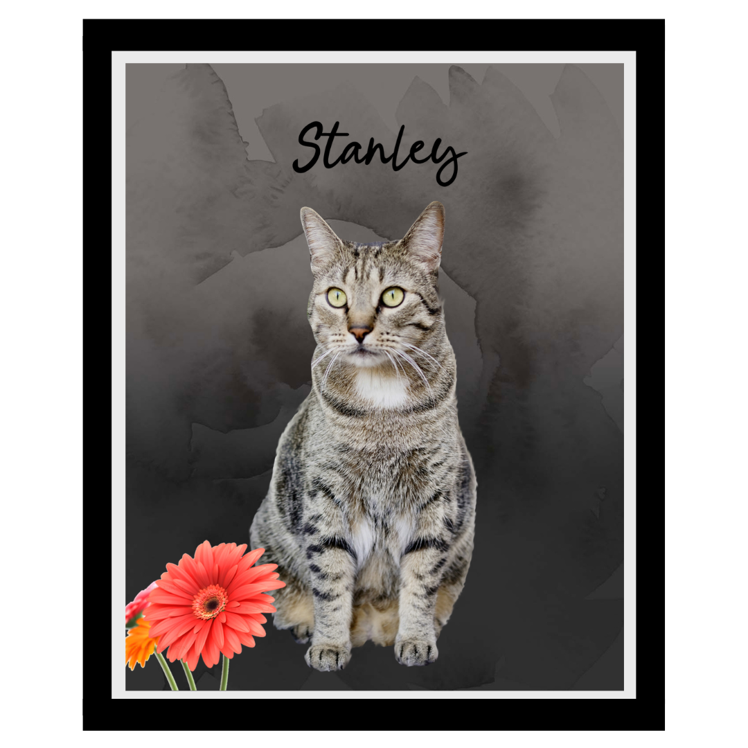 stanley.png