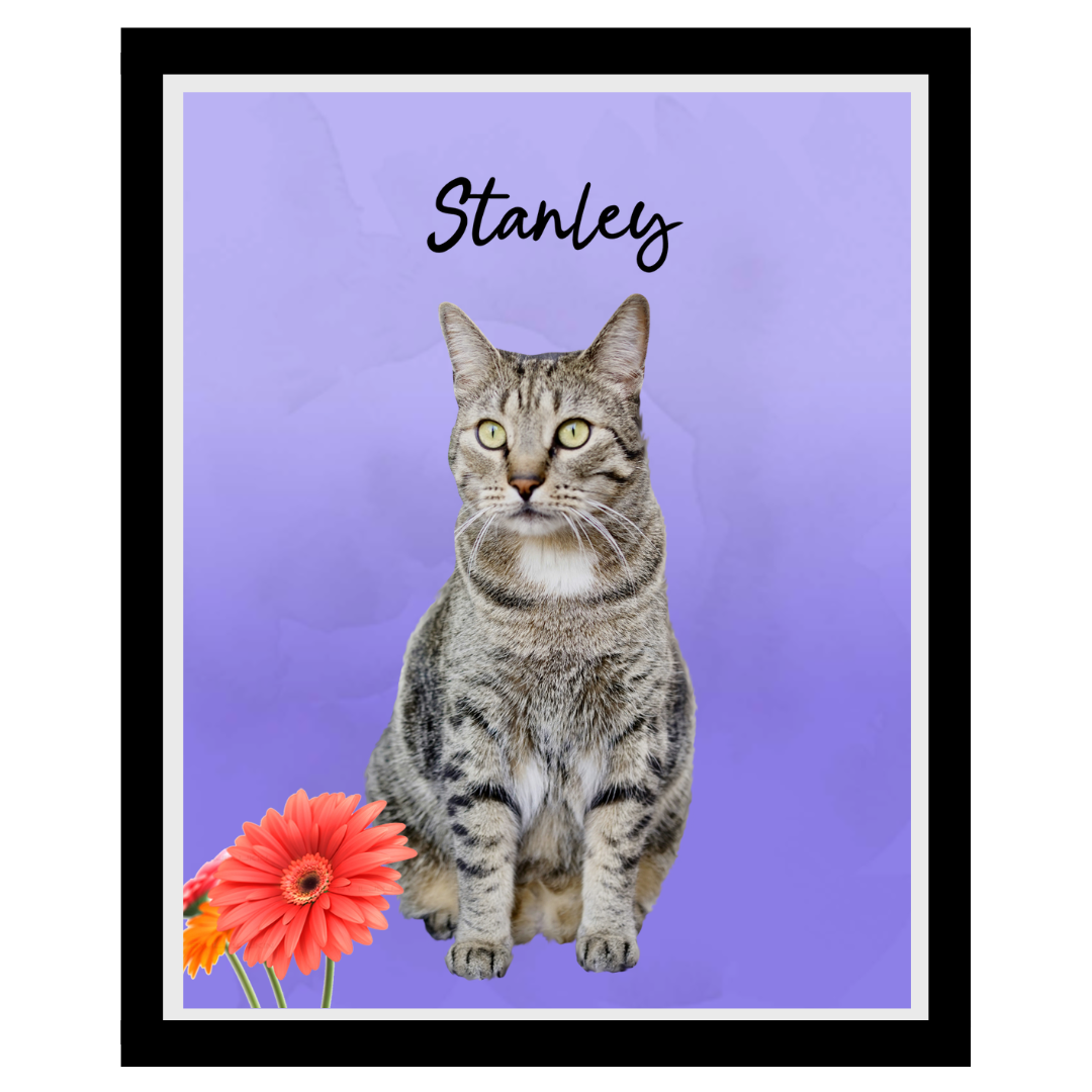 stanley (13).png