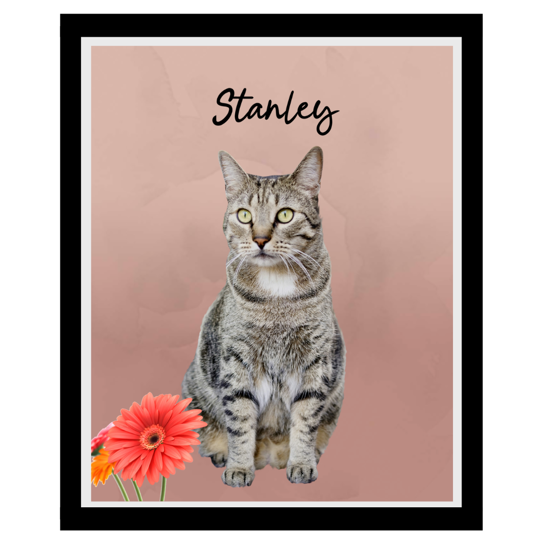 stanley (12).png