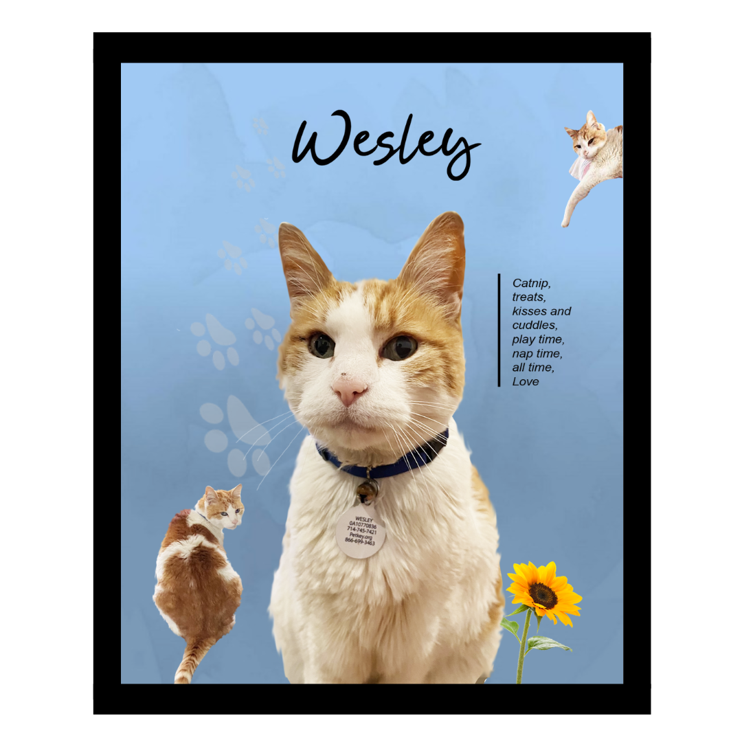 wesley.png
