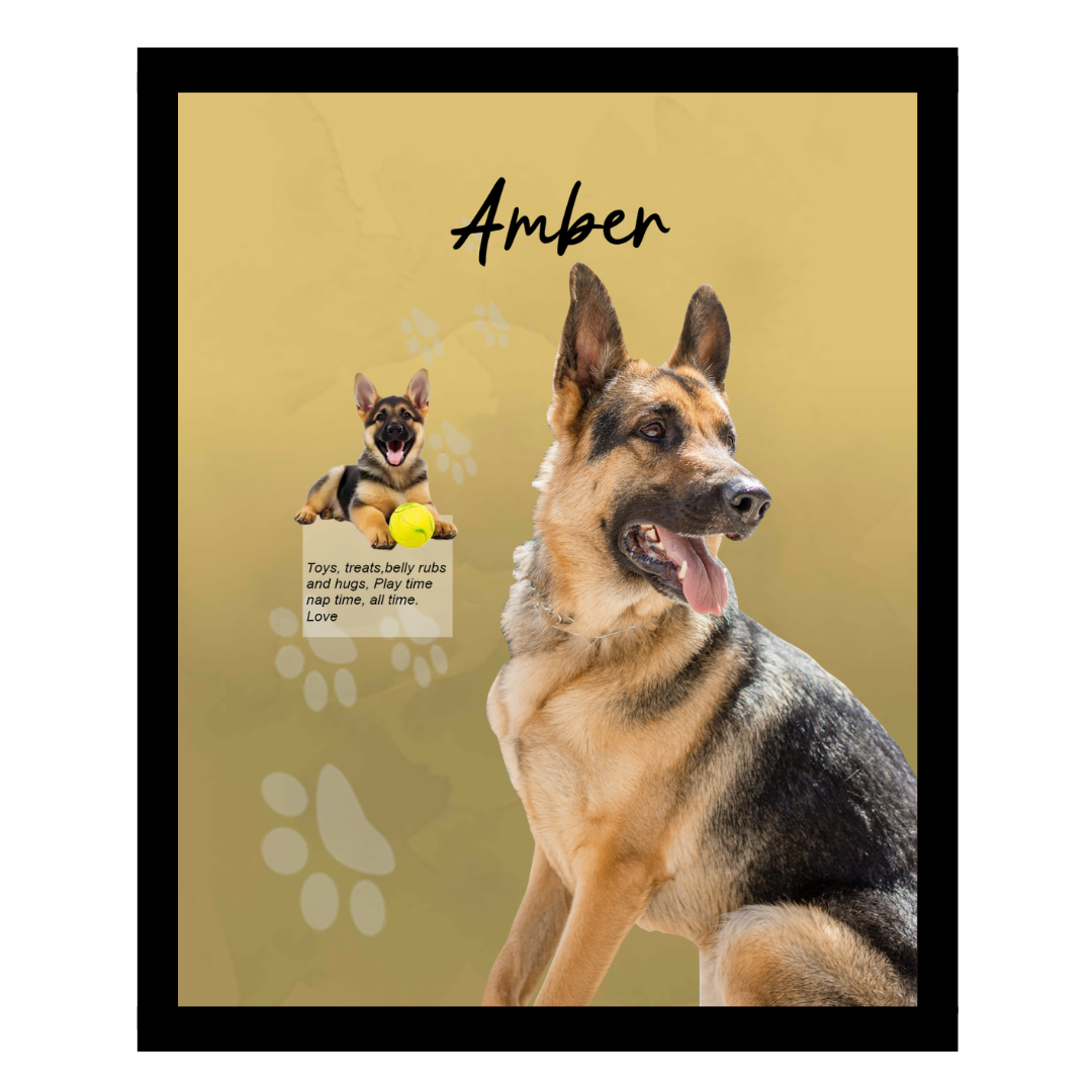 amber (2).png