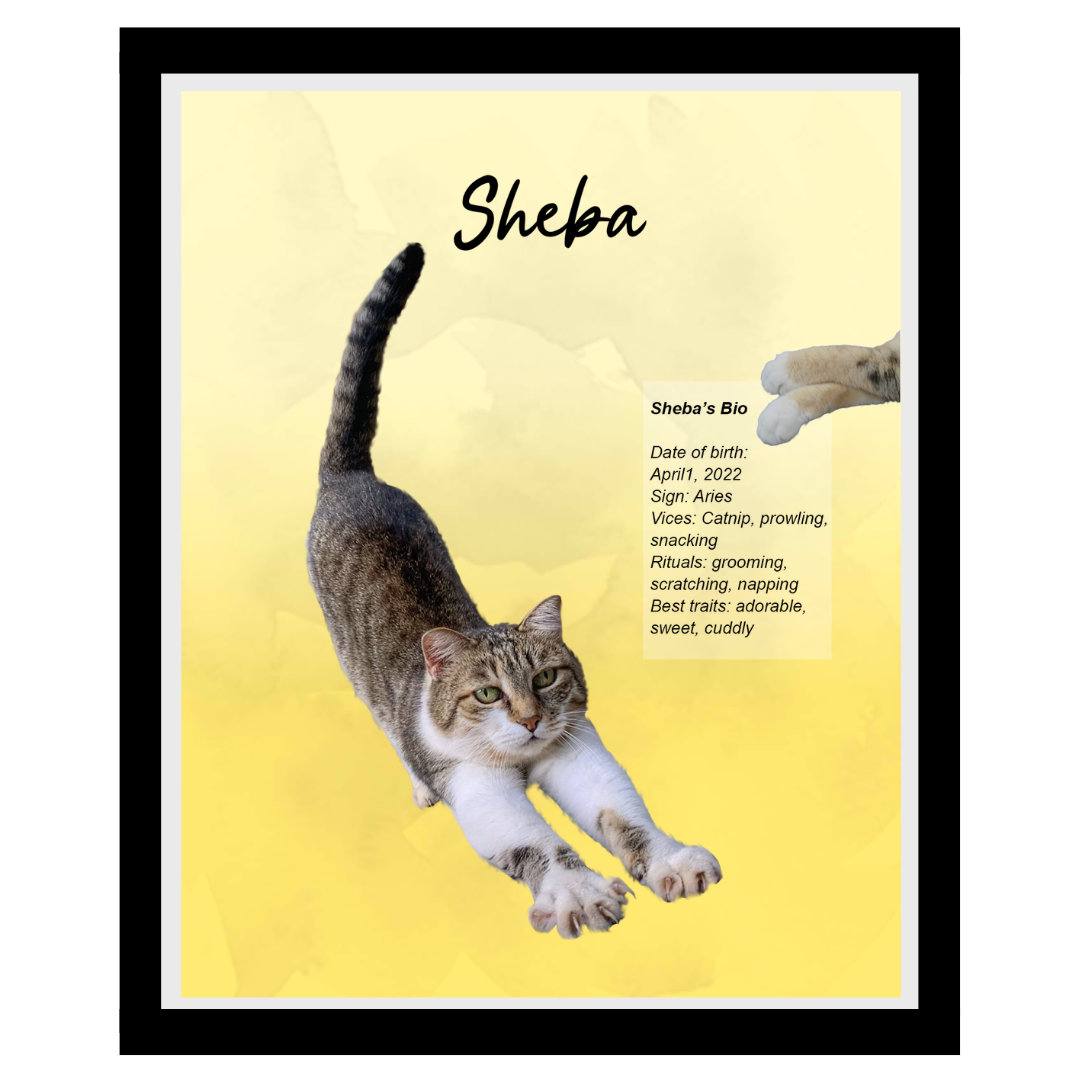 sheba (10).png