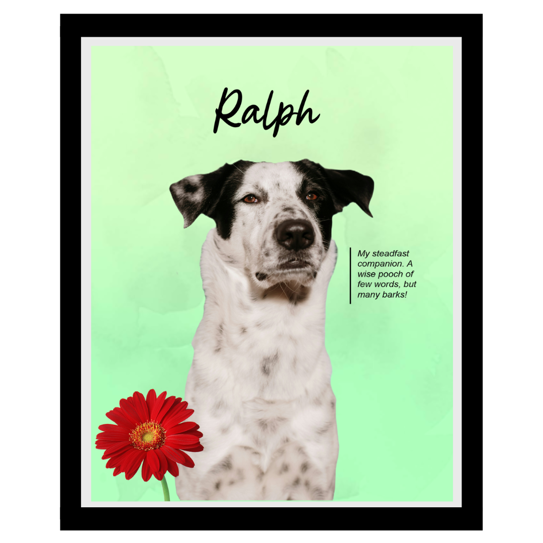 ralph (11).png