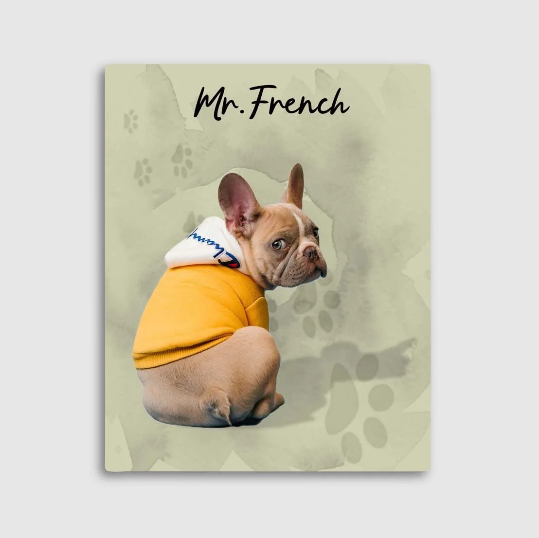 Mr french 1 sage w_o type.jpg