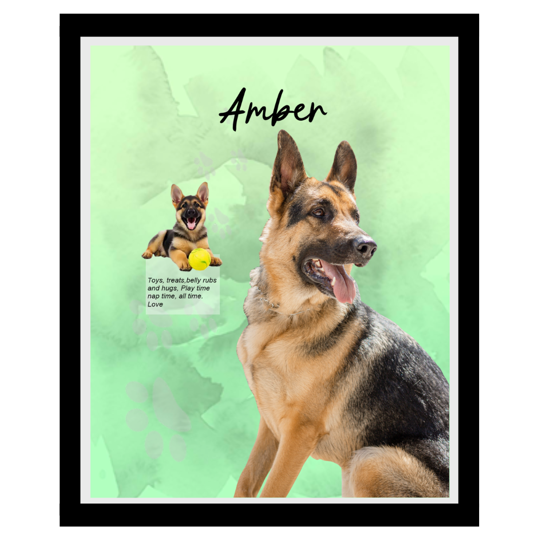 amber (9).png
